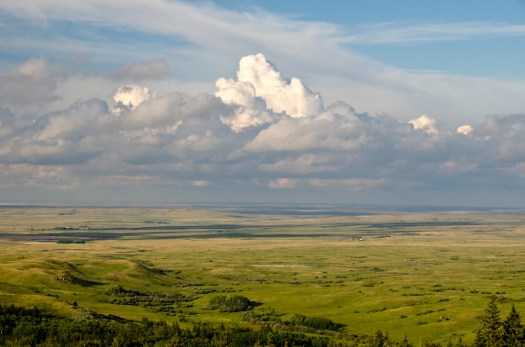 The View from the Cypress Hills