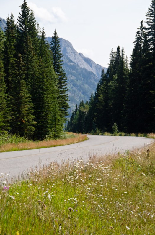 The Bow Valley Parkway