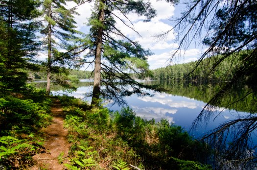 Classic Algonquin. Berm Lake, Eastern Algonquin.