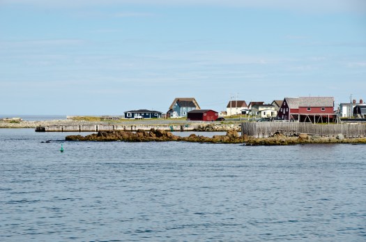 Bonavista