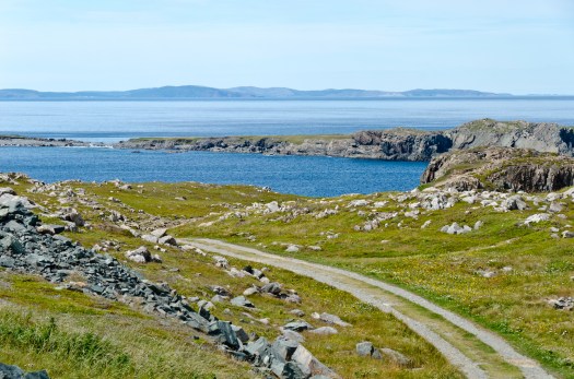The Bonavista Cape