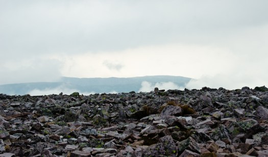 Fog at the summit of Gros Morne