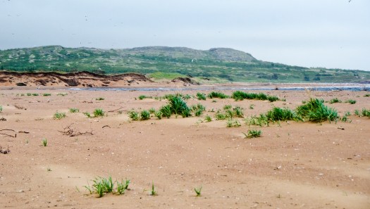 The beach at Pinware