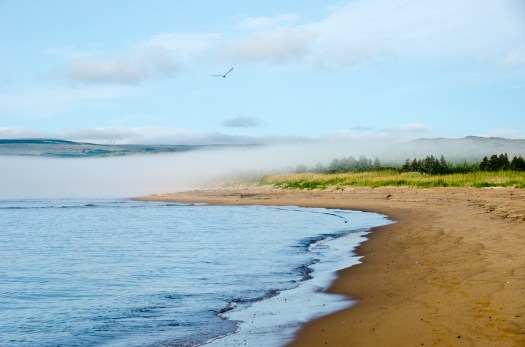 The beach at Pinware